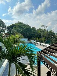 Leedon 2 (D10), Condominium #349751791